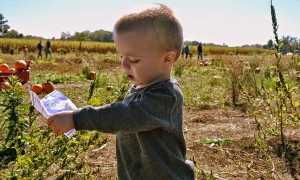 Έρευνα-ΣΟΚ: Φυτοφάρμακα προκαλούν ίδια προβλήματα στα παιδιά με το κάπνισμα!Έρευνα-ΣΟΚ: Φυτοφάρμακα προκαλούν ίδια προβλήματα στα παιδιά με το κάπνισμα!
