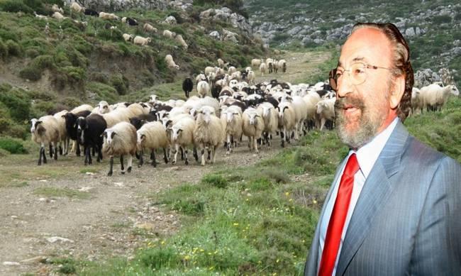 ΕΚΤΑΚΤΟ – Εκτός διαγωνισμού ο Καλογρίτσας – Δεν πληρώνει την πρώτη δόση ΕΚΤΑΚΤΟ – Εκτός διαγωνισμού ο Καλογρίτσας – Δεν πληρώνει την πρώτη δόση