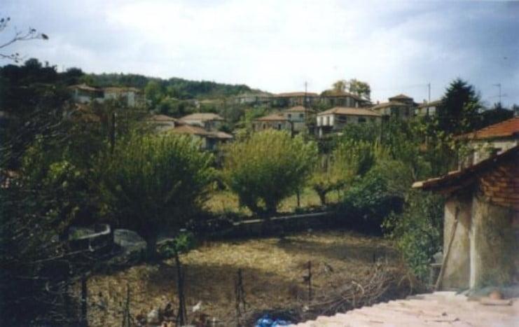 Το θαυματουργό μυστικό της αντιγήρανσης ανακαλύφθηκε στα δέντρα ενός μικρού χωριού της Αρκαδίας