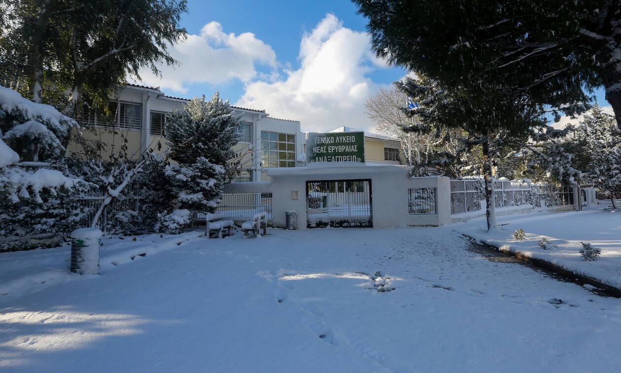 Κλειστά σχολεία