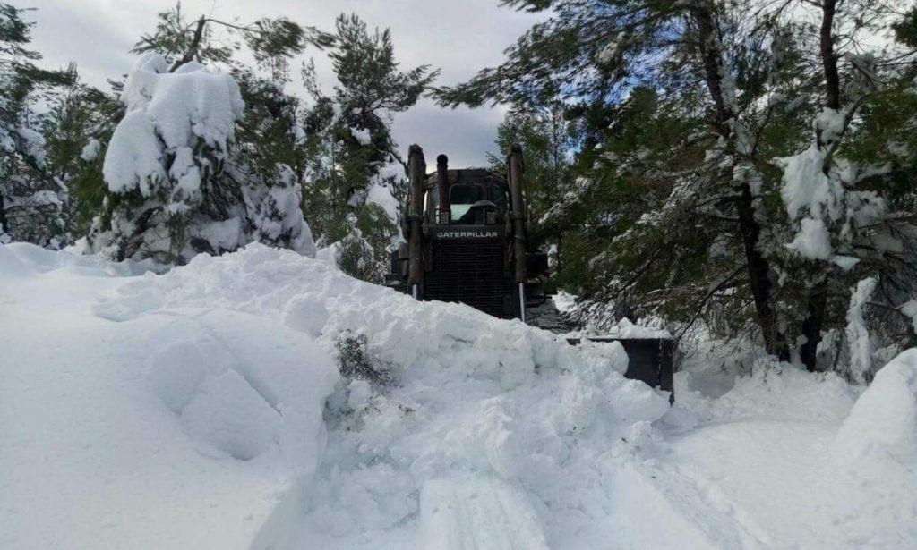 Κλέαρχος Μαρουσάκης για χιόνια στην Αττική: Πού θα έχουμε χιονοστρώσεις