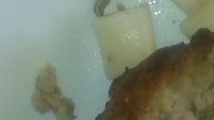 Γενικό Κρατικό Νίκαιας: Σοκάρουν οι φωτογραφίες με το σκουλήκι στο φαγητό ασθενούς