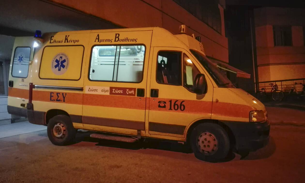 EKAV Τρόμος στις Σέρρες: Σκύλος επιτέθηκε σε 11χρονο παιδί - Τον έσωσαν οι γείτονες
