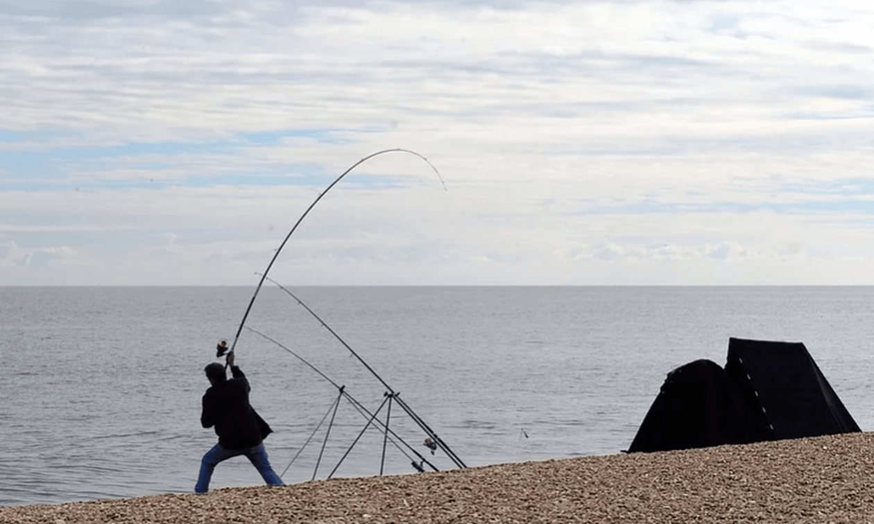 Τα πέντε ψάρια που πρέπει να σταματήσετε να τρώτε