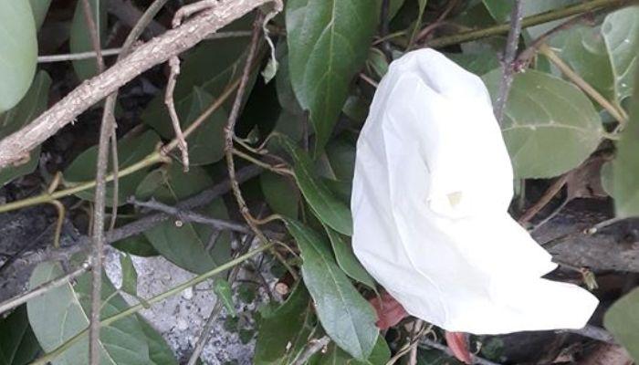 Θα νικήσουμε τον κορωνοϊό, αλλά όχι την βρωμερή νοοτροπία μας