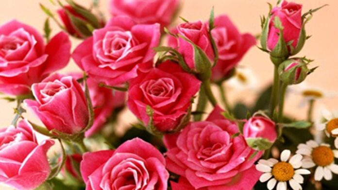 Εορτολόγιο: Ποιοι γιορτάζουν σήμερα Σάββατο 17 Απριλίου