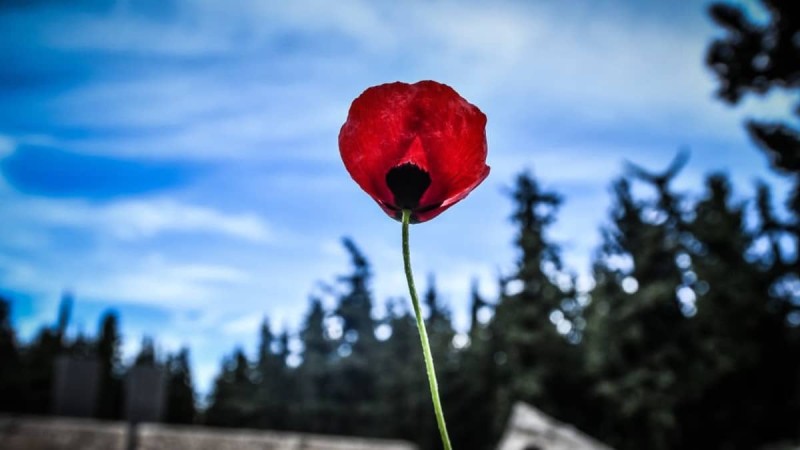 protomagia_kairos_protothema