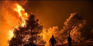 Humanity Greece: Εφιστούμε την προσοχή στους πολίτες που θέλουν να βοηθήσουν στα πύρινα μέτωπα