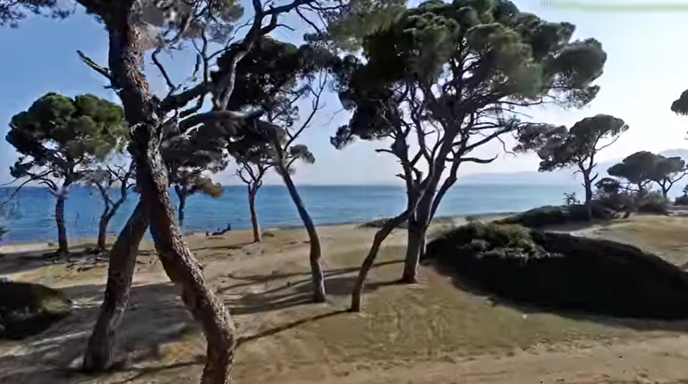 Η παραλία κοντά στην Αθήνα που βρίσκεις πάντα σκιά και δροσιά