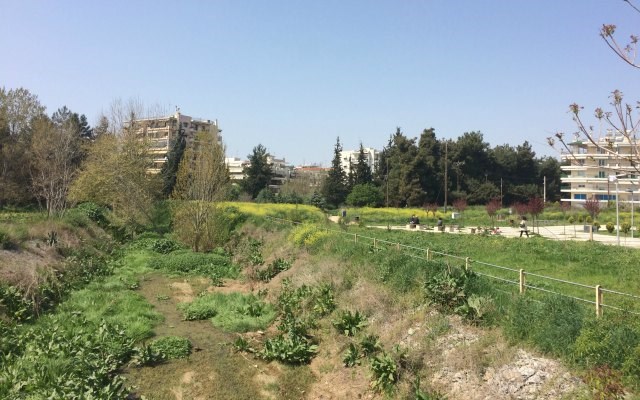 elaiorema3