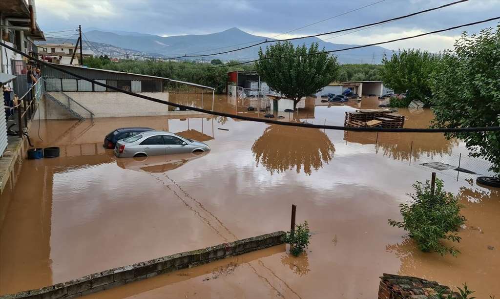 ianos-zwnari