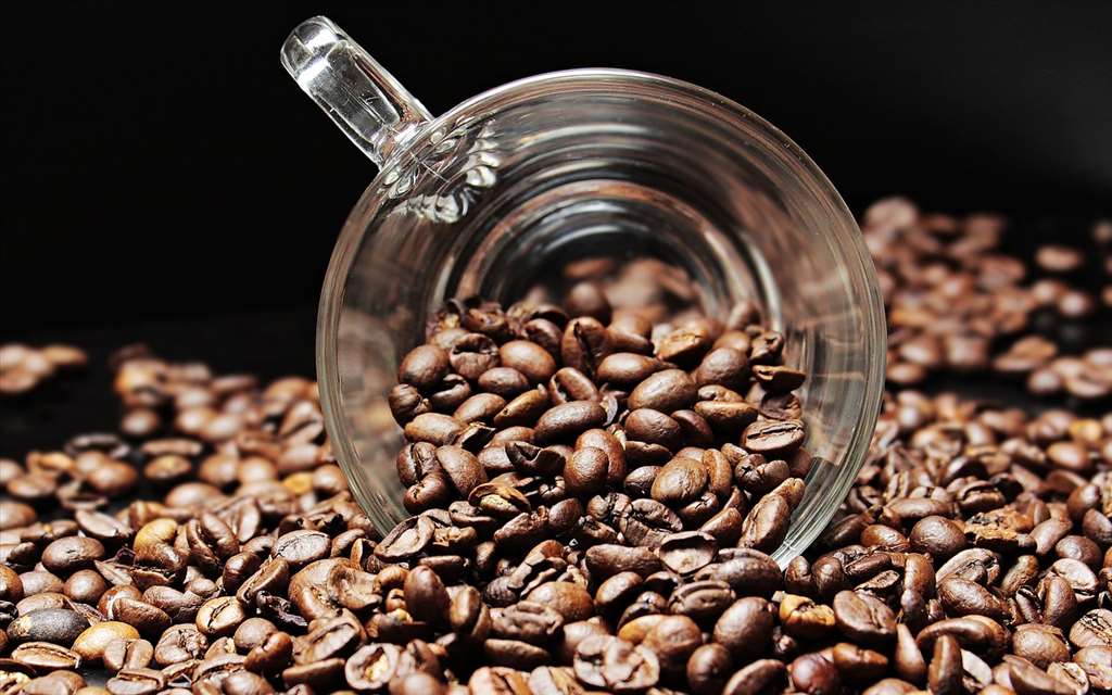 coffee-kafes