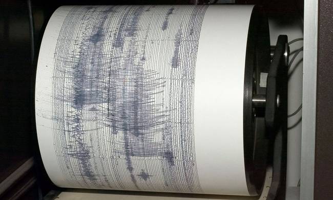 seismoss-2