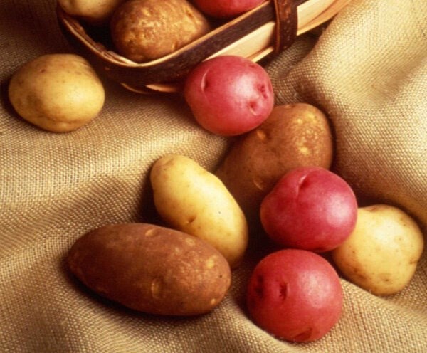 patatesmila