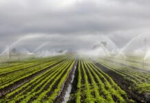 Νερό: Η Στρατηγική Επένδυση της Ελλάδας για Βιώσιμη Ανάπτυξη & Ψηφιακό Μέλλον