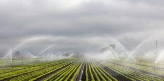 Νερό: Η Στρατηγική Επένδυση της Ελλάδας για Βιώσιμη Ανάπτυξη & Ψηφιακό Μέλλον