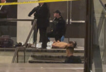 Πυροβολισμοί στο δείπνο με Τραμπ: Το προφίλ του «φιλικού ομοσπονδιακού δολοφόνου» – Το μανιφέστο του