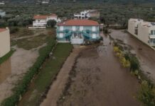 Έξαρση Λεπτοσπείρωσης: Κίνδυνος μετά από Πλημμύρες – Τι Συμβαίνει στη Ζάκυνθο & Οδηγίες Πρόληψης