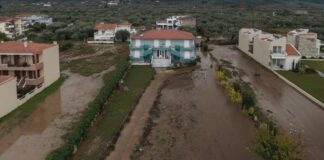 Έξαρση Λεπτοσπείρωσης: Κίνδυνος μετά από Πλημμύρες – Τι Συμβαίνει στη Ζάκυνθο & Οδηγίες Πρόληψης