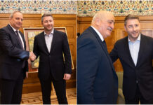 Ανδρουλάκης: Διευρυμένες συναντήσεις με Αναστασίου και Στεφάνου