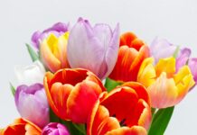 23 Απριλίου: Γιορτάζει ο Άγιος Γεώργιος – Όλα τα ονόματα και η ιστορία του Αγίου