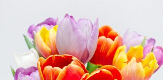 23 Απριλίου: Γιορτάζει ο Άγιος Γεώργιος – Όλα τα ονόματα και η ιστορία του Αγίου