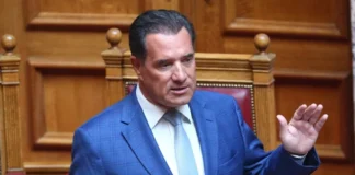 Γεωργιάδης: «Βαρέθηκα να με λένε ότι δεν σέβομαι θεσμούς»