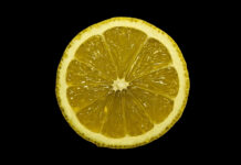 Το Μισό Λεμόνι στην Κουζίνα: Το Μυστικό για Ένα Σπίτι Χωρίς Έντομα