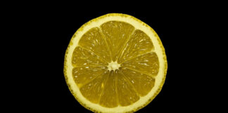 Το Μισό Λεμόνι στην Κουζίνα: Το Μυστικό για Ένα Σπίτι Χωρίς Έντομα