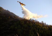 Φωτιά στο Νεοχώρι: Στάχτη 10 στρέμματα, ένα άτομο στο νοσοκομείο