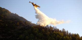 Φωτιά στο Νεοχώρι: Στάχτη 10 στρέμματα, ένα άτομο στο νοσοκομείο