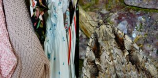 Φυσικοί Σκόροι: Απομακρύνετε τα Από τις Ντουλάπες σας Οριστικά