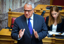 Βορίδης για Πέσι: «Πολιτικές οι τοποθετήσεις Κοβέσι, όχι νομική συζήτηση»