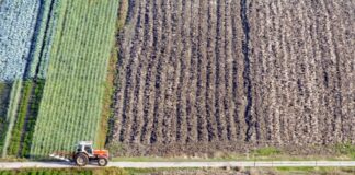 Νέα ΚΑΠ: Ανατροπές στις αγροτικές επιδοτήσεις – Τι αλλάζει από το 2028