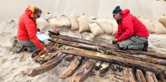 Ανακάλυψη 200+ ετών ναυαγίου στο «νεκροταφείο του Ατλαντικού»