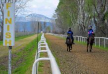 Κιλκίς: Συναρπαστικό Πανελλήνιο Πρωτάθλημα & Διεθνής Αγώνας Ιππικής Αντοχής