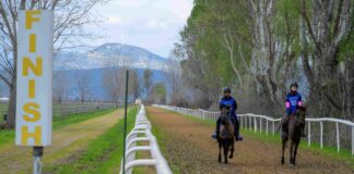 Κιλκίς: Συναρπαστικό Πανελλήνιο Πρωτάθλημα & Διεθνής Αγώνας Ιππικής Αντοχής