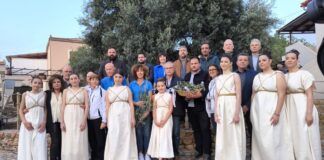 Αρχαία Ελιά Βουβών: Ο Δήμος Πλατανιά ζητά την ανακήρυξή της σε «Ολυμπιακό Δέντρο»