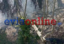 Σύλληψη στο Αλιβέρι: 56χρονος εμπρηστής αγροτικής έκτασης