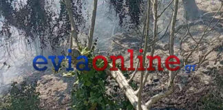 Σύλληψη στο Αλιβέρι: 56χρονος εμπρηστής αγροτικής έκτασης