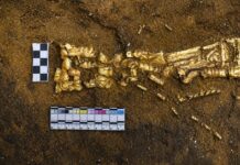 Ανακαλύφθηκε Τάφος "Χρυσού Ανθρώπου" στο Καζακστάν: Τα Μυστικά & Η Σημασία Του