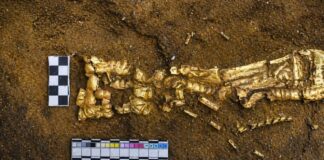 Ανακαλύφθηκε Τάφος "Χρυσού Ανθρώπου" στο Καζακστάν: Τα Μυστικά & Η Σημασία Του