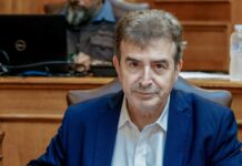 Χρυσοχοΐδης: Κενά Ασφαλείας στα Δικαστήρια – «Χρόνια τα λέμε, κανείς δεν ασχολείται»