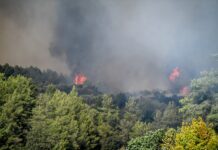 Φωτιά στην Ηλεία: Συναγερμός στο Λέπρεο – Ενισχύονται δυνάμεις για την κατάσβεση