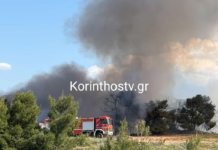 Κορινθία: Μεγάλη δασική πυρκαγιά στο Ζευγολατιό – Συναγερμός στην Πυροσβεστική