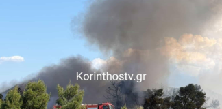 Κορινθία: Μεγάλη δασική πυρκαγιά στο Ζευγολατιό – Συναγερμός στην Πυροσβεστική