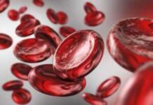 Αιματοκρίτης: Φυσικά Τρόφιμα για την Αύξηση του και Πρόληψη της Αναιμίας