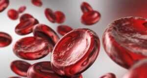 Αιματοκρίτης: Φυσικά Τρόφιμα για την Αύξηση του και Πρόληψη της Αναιμίας