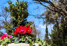 Πρωτομαγιά στην Αθήνα: Οι καλύτερες προτάσεις για εορτασμό της φύσης