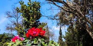 Πρωτομαγιά στην Αθήνα: Οι καλύτερες προτάσεις για εορτασμό της φύσης